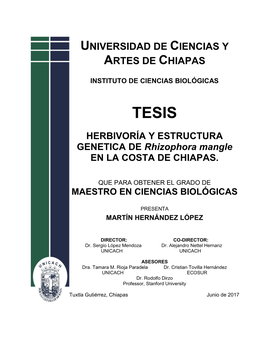 Universidad De Ciencias Y Artes De Chiapas