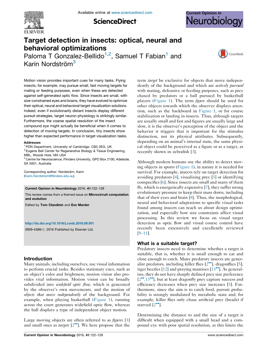 Target Detection in Insects: Optical, Neural and Behavioral Optimizations