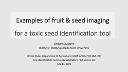 ROUGH DRAFT for ISMA-ITP Botany/Seed Imaging Webinar