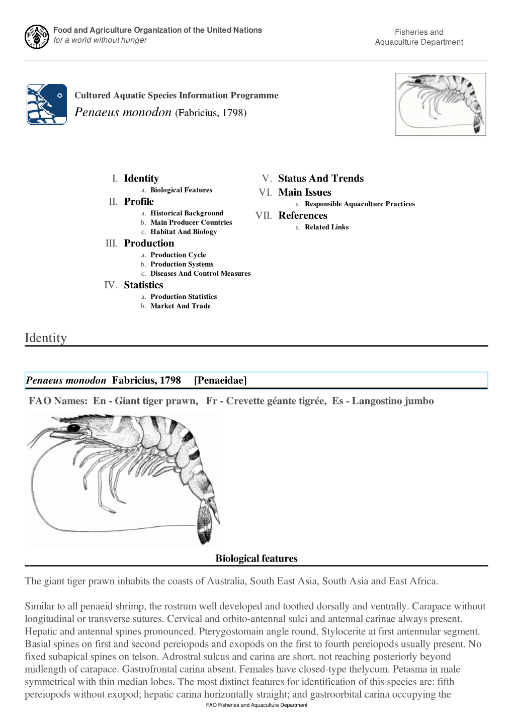 Cultured Aquatic Species Information Programme Penaeus Monodon (Fabricius, 1798)