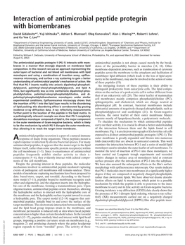 Interaction of Antimicrobial Peptide Protegrin with Biomembranes