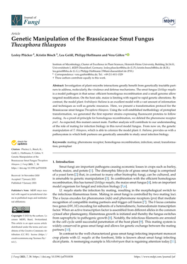 Genetic Manipulation of the Brassicaceae Smut Fungus Thecaphora Thlaspeos