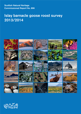 SNH Commissioned Report 896: Islay Barnacle Goose Roost Survey 2013/2014