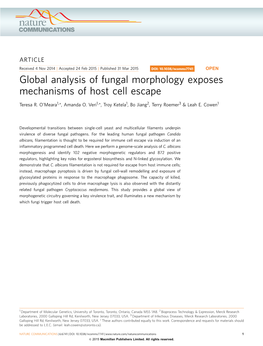 Global Analysis of Fungal Morphology Exposes Mechanisms of Host Cell Escape