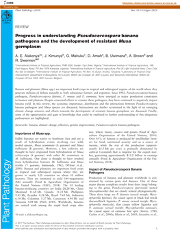 Progress in Understanding Pseudocercospora Banana Pathogens and the Development of Resistant Musa Germplasm