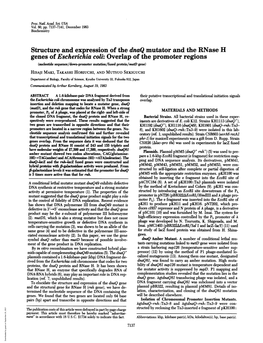 Structure and Expression of the Dnaq Mutator and the Rnase H