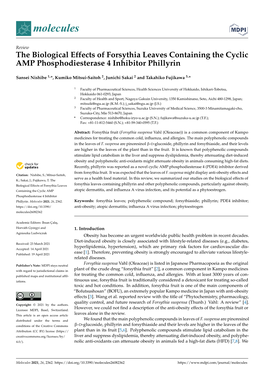 The Biological Effects of Forsythia Leaves Containing the Cyclic AMP Phosphodiesterase 4 Inhibitor Phillyrin