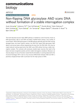 Non-Flipping DNA Glycosylase Alkd Scans DNA Without Formation of A