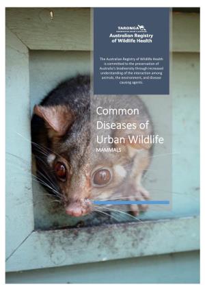 Common Diseases of Urban Wildlife: Mammals