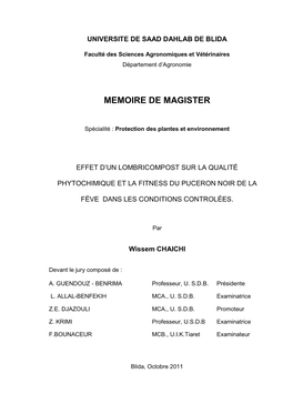 Memoire De Magister