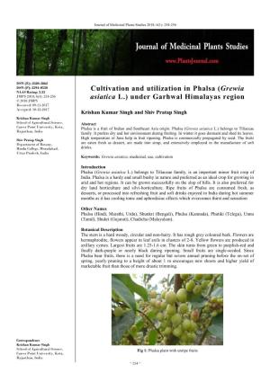 Cultivation and Utilization in Phalsa (Grewia Asiatica