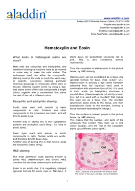 Hematoxylin and Eosin