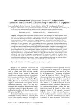Leaf Dimorphism of Microgramma Squamulosa (Polypodiaceae): a Qualitative and Quantitative Analysis Focusing on Adaptations to Epiphytism