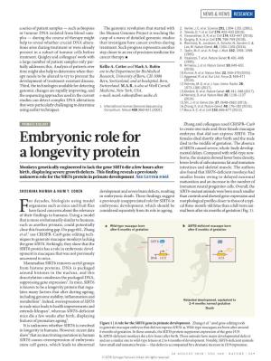 Embryonic Role for a Longevity Protein