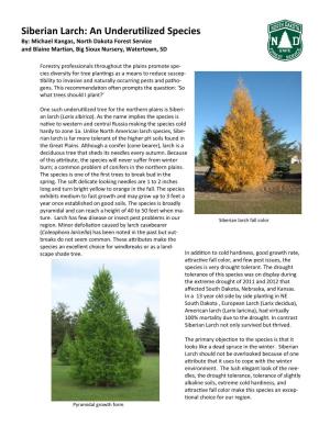 Siberian Larch: an Underutilized Species By: Michael Kangas, North Dakota Forest Service and Blaine Martian, Big Sioux Nursery, Watertown, SD