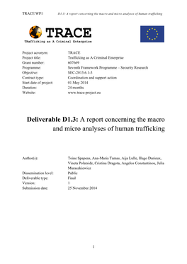 A Report Concerning the Macro and Micro Analyses of Human Trafficking