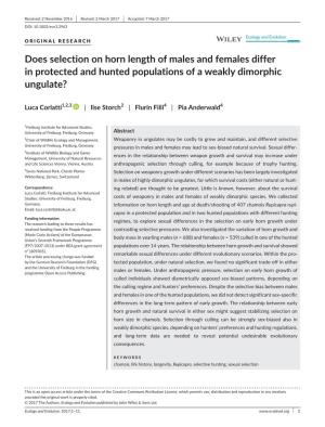 Does Selection on Horn Length of Males and Females Differ in Protected and Hunted Populations of a Weakly Dimorphic Ungulate?