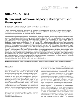ORIGINAL ARTICLE Determinants of Brown Adipocyte Development and Thermogenesis