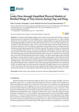 Leaky Flow Through Simplified Physical Models of Bristled Wings