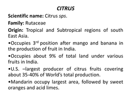 CITRUS Scientific Name: Citrus Sps