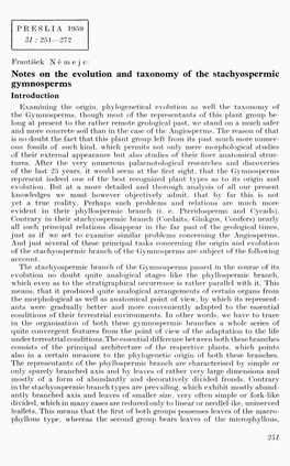 Notes on the Evolution and Taxonomy of the Stachyospermic Gymnosperms