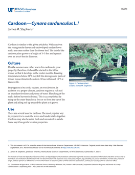 Cardoon—Cynara Cardunculus L.1 James M