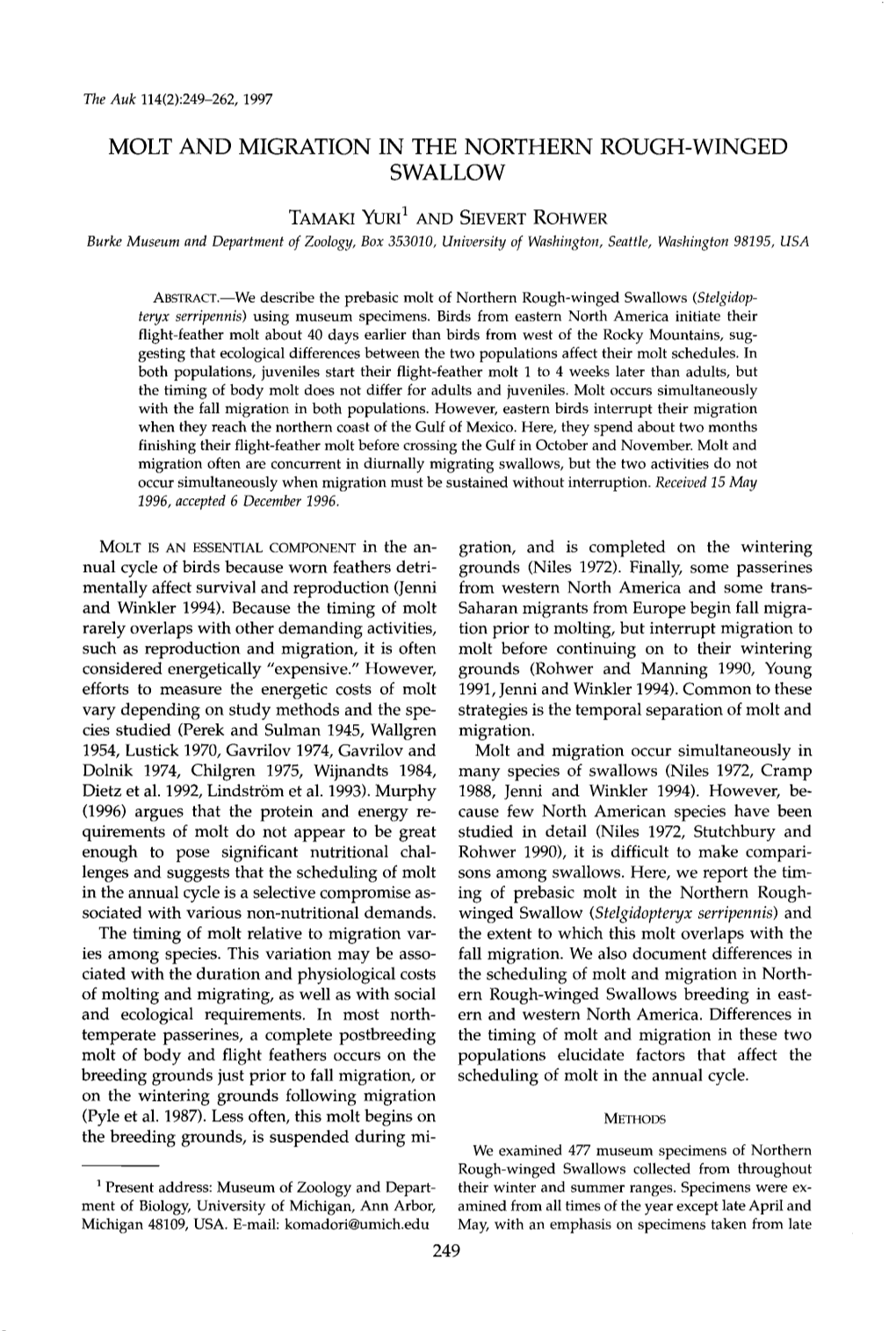 Molt and Migration in the Northern Rough-Winged Swallow