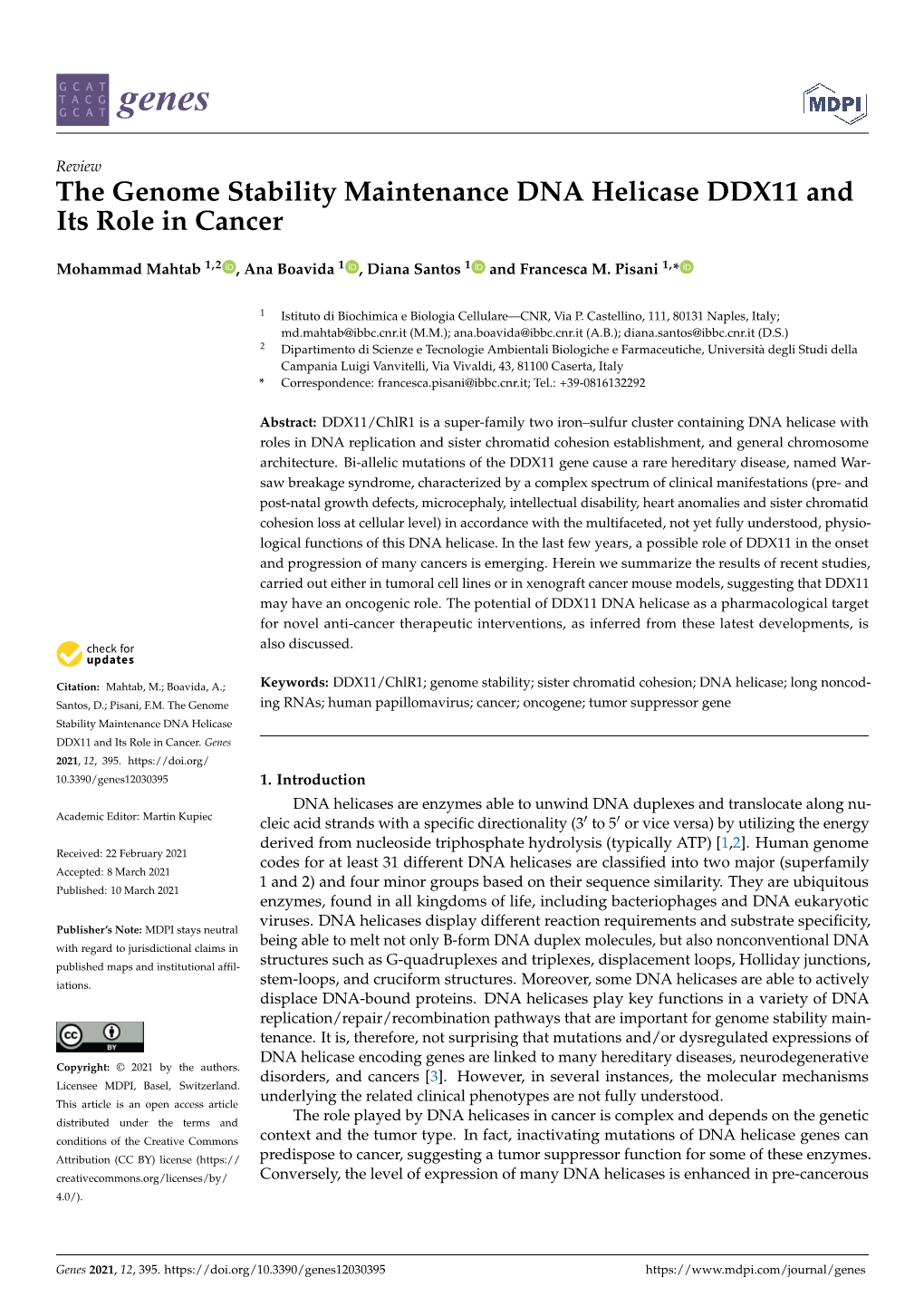 The Genome Stability Maintenance DNA Helicase DDX11 and Its Role in Cancer