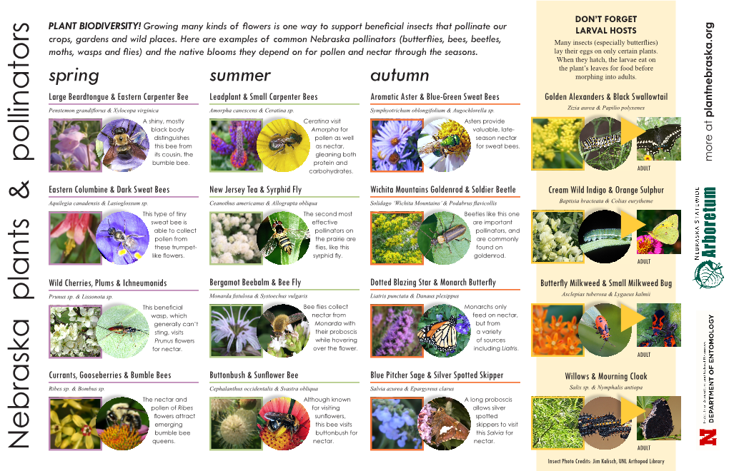 Nebraska Plants & Pollinators