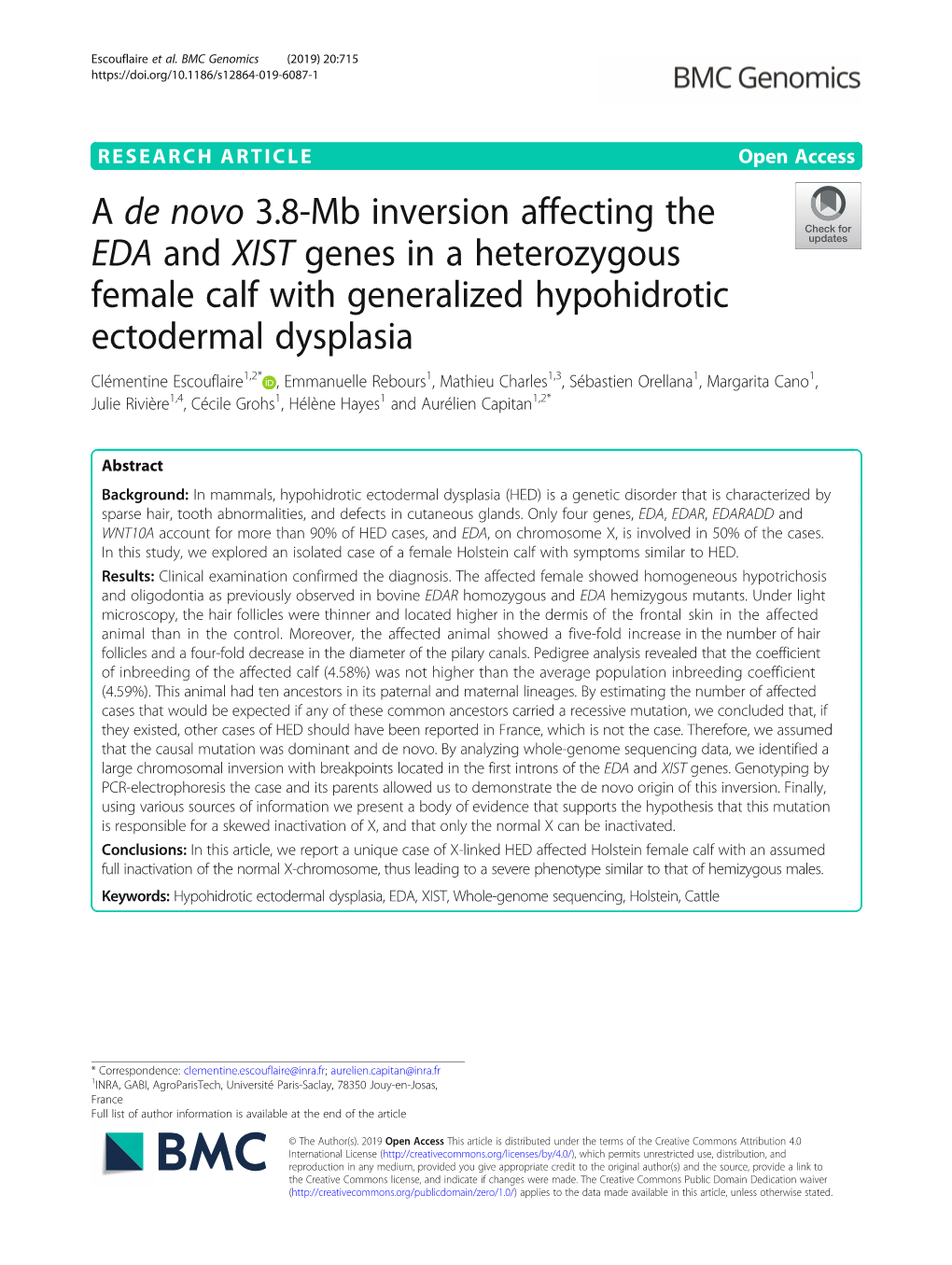 Α De Novo 3.8-Mb Inversion Affecting the EDA and XIST Genes in A