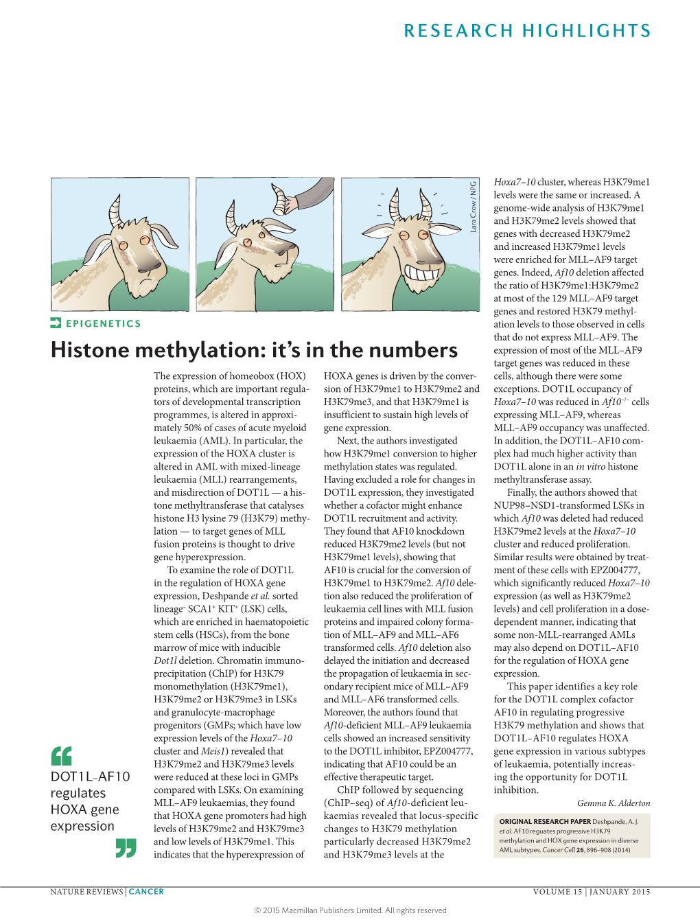 Histone Methylation: It's in the Numbers