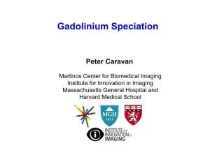 Gadolinium Speciation
