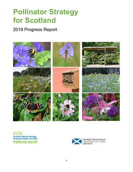 Pollinator Strategy for Scotland 2019 Progress Report
