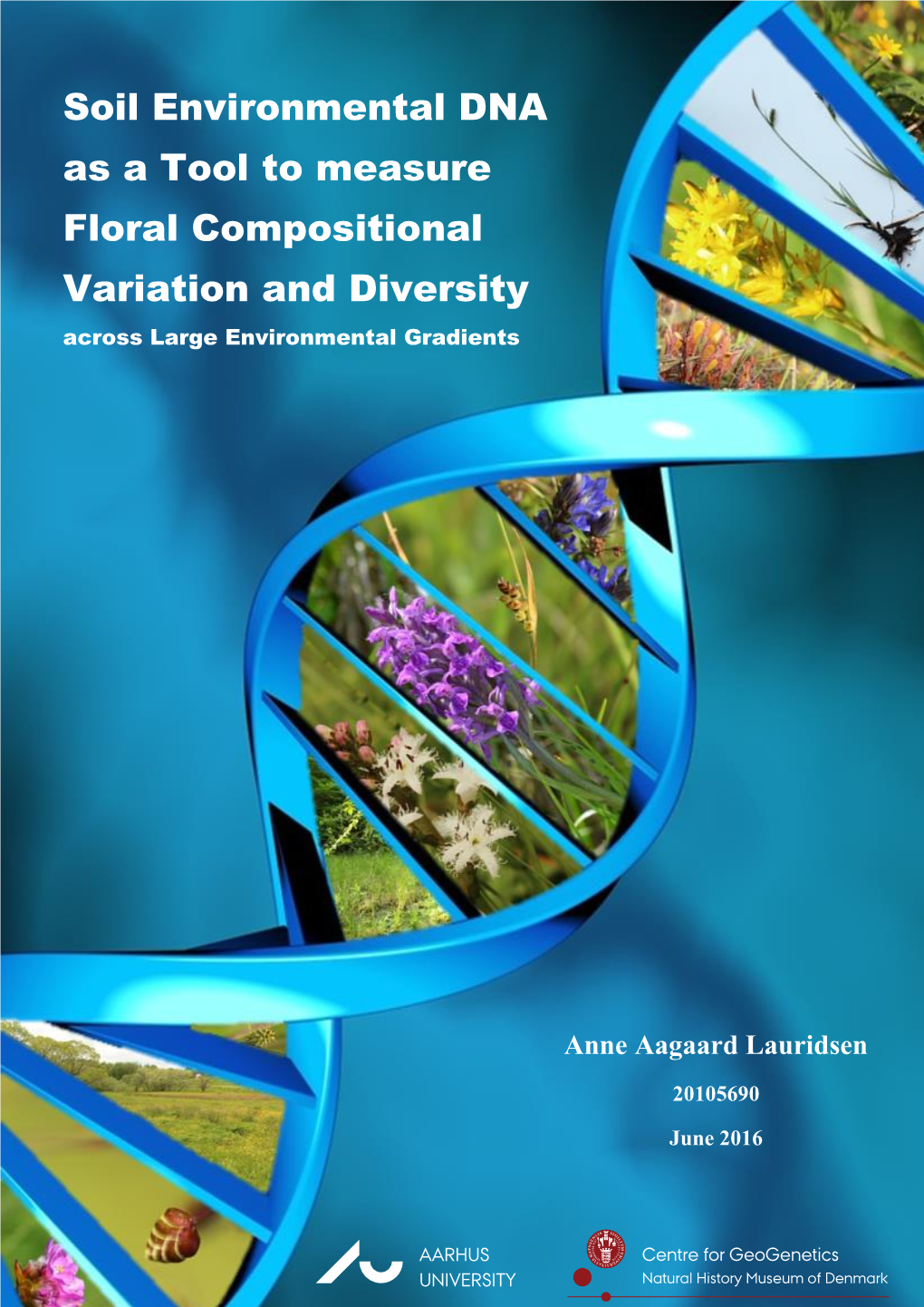 Soil Environmental DNA As a Tool to Measure Floral Compositional Variation and Diversity Across Large Environmental Gradients