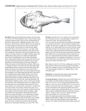 GOOSEFISH / Lophius Americanus Valenciennes 1837 /Monkfish, Angler, Allmouth, Molligut / Bigelow and Schroeder 1953:532-541