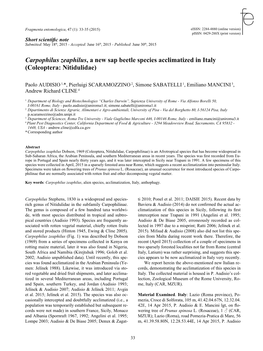 Carpophilus Zeaphilus, a New Sap Beetle Species Acclimatized in Italy (Coleoptera: Nitidulidae)