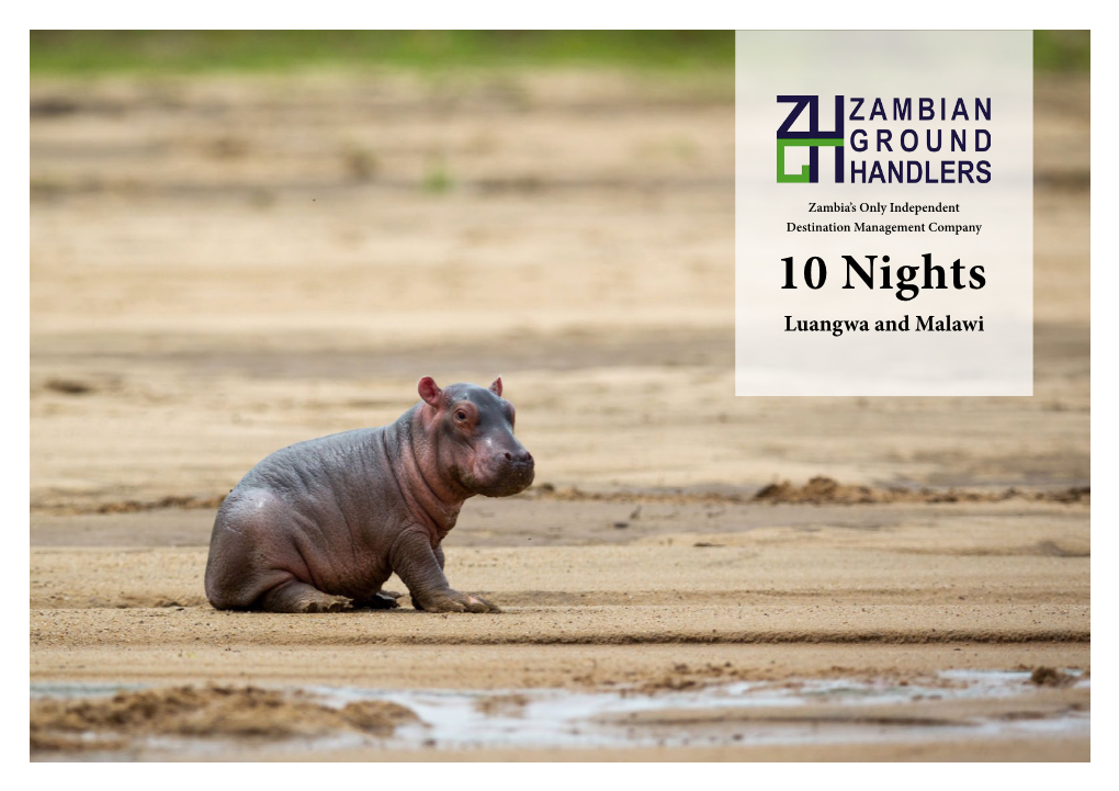 10 Nights Luangwa and Malawi Luangwa