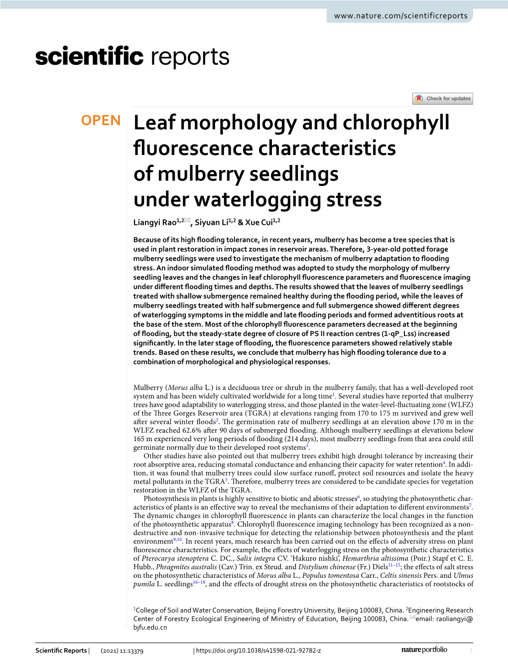 Leaf Morphology and Chlorophyll Fluorescence Characteristics Of