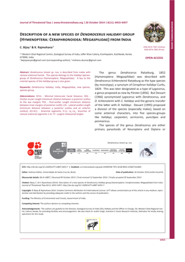 Description of a New Species of Dendrocerus Halidayi Group (Hymenoptera: Ceraphronoidea: Megaspilidae) from India