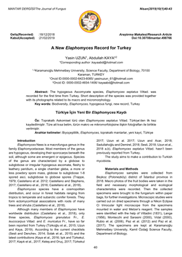 A New Elaphomyces Record for Turkey