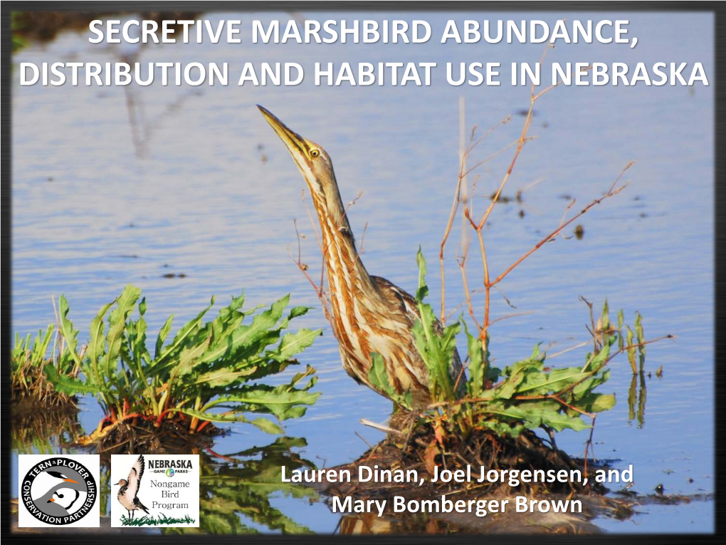 Secretive Marshbird Abundance, Distribution and Habitat Use in Nebraska