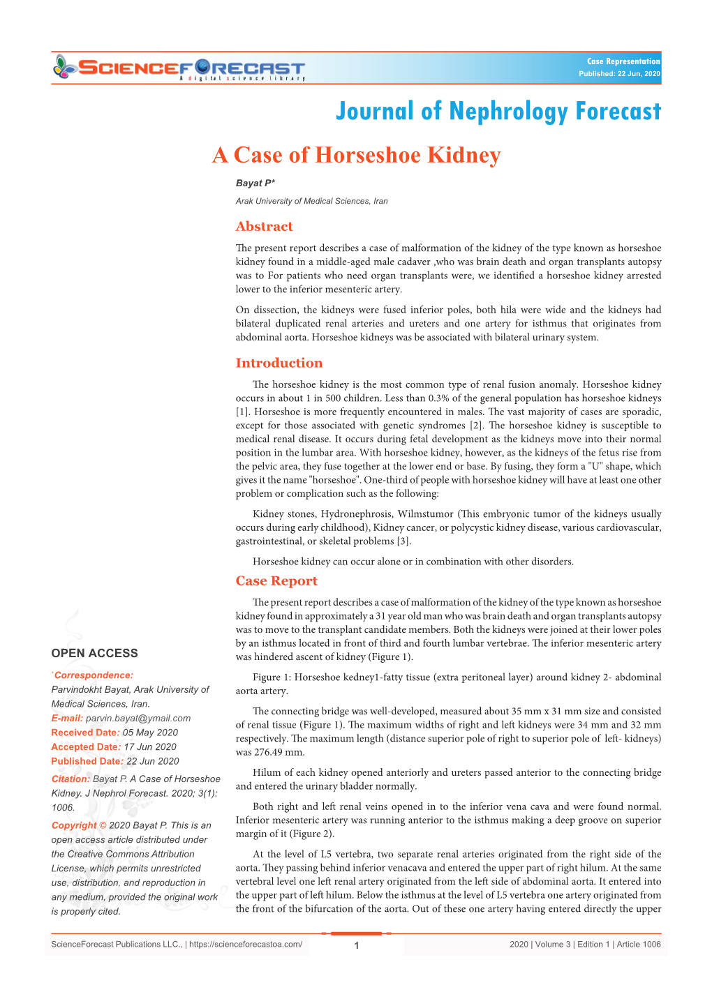 A Case of Horseshoe Kidney