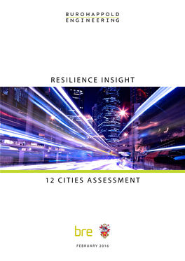 12 Cities Assessment Resilience Insight