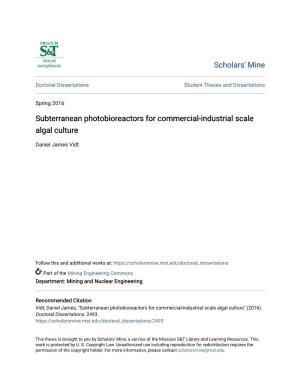 Subterranean Photobioreactors for Commercial-Industrial Scale Algal Culture