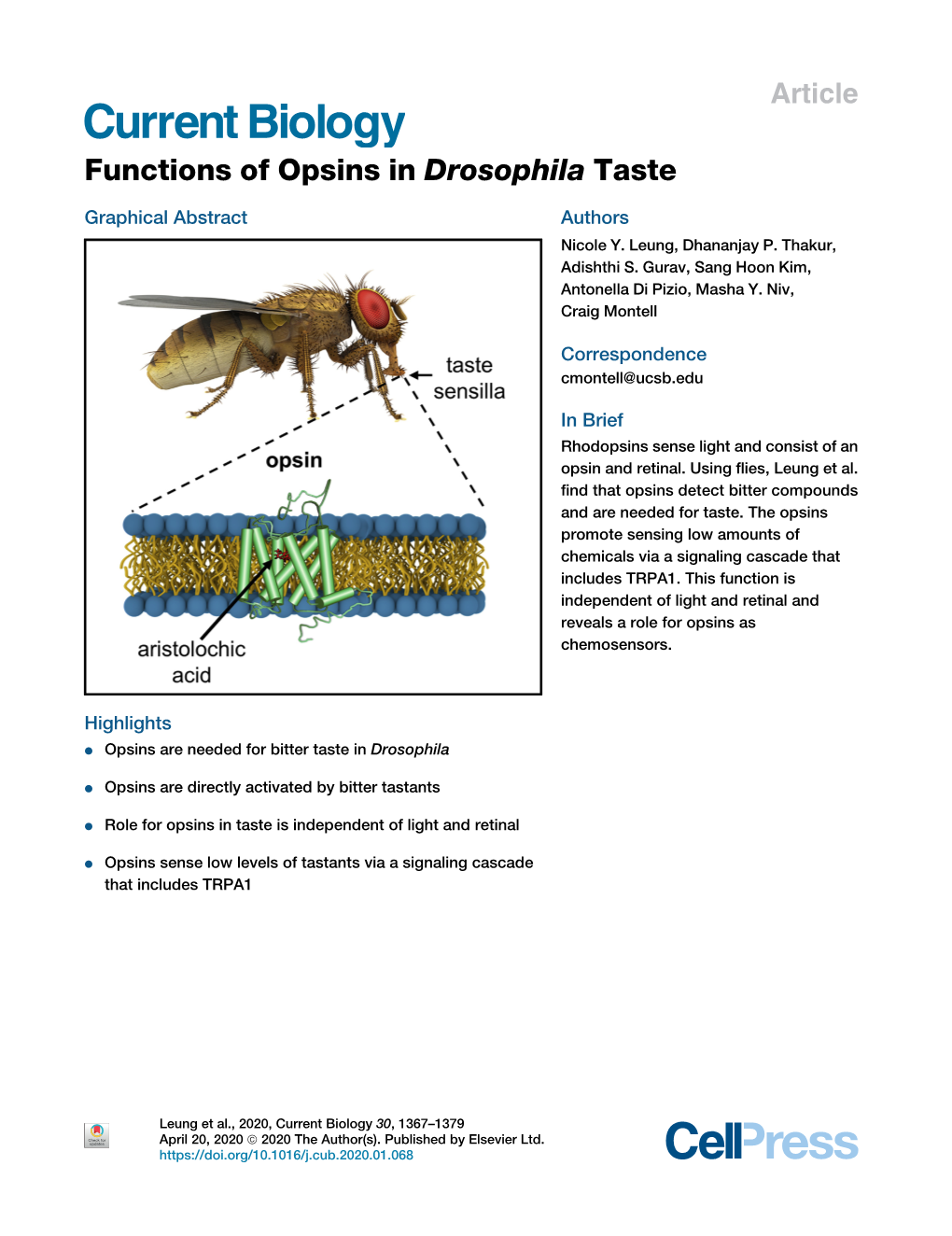 Functions of Opsins in Drosophila Taste