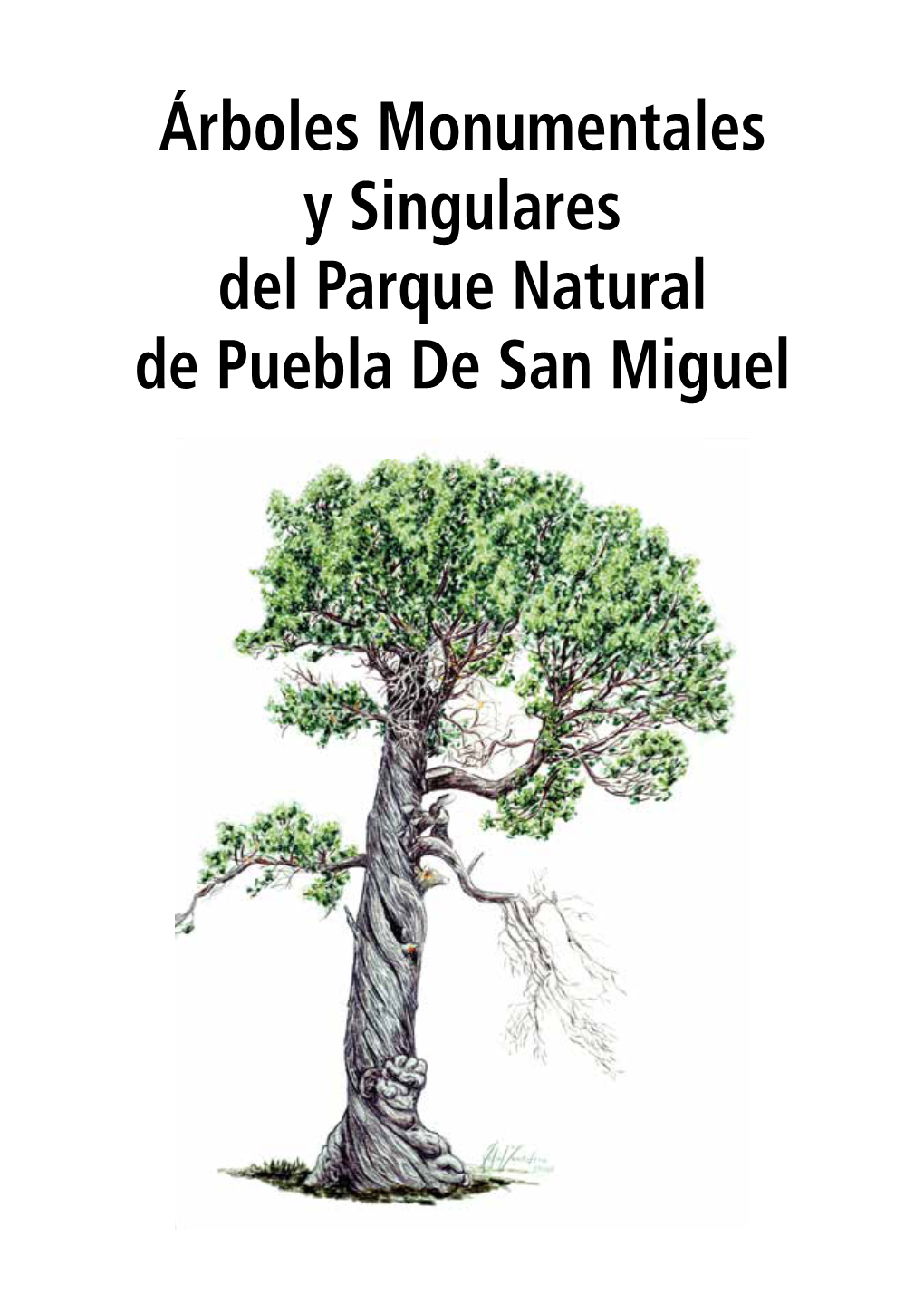 Árboles Monumentales Y Singulares Del Parque Natural De Puebla De San Miguel © Textos Del Autor: Jesús Monedero Ramos