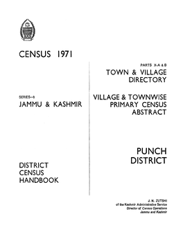 District Census Handbook, Punch, Parts X-A & B, Series-8