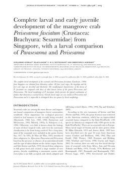 Complete Larval and Early Juvenile Development of the Mangrove Crab