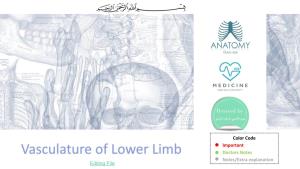 17-Vascular Anatomy of Lower Limb.Pdf