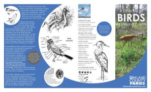 Checklist of Birds in Oakland County